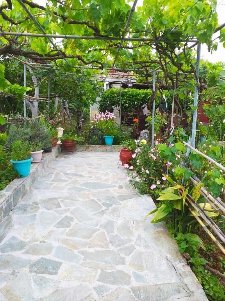 Malotu Appartement